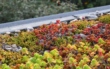 the cost of Adams Green green roof installation