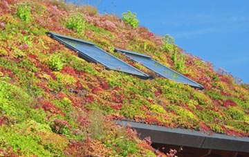 Adams Green living roof systems