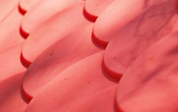 Adams Green plastic roof costs