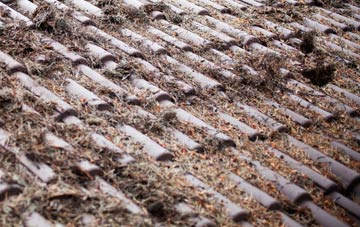 Adams Green roof cleaning companies