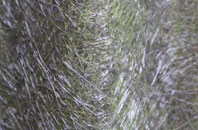 Adams Green fibreglass roof work